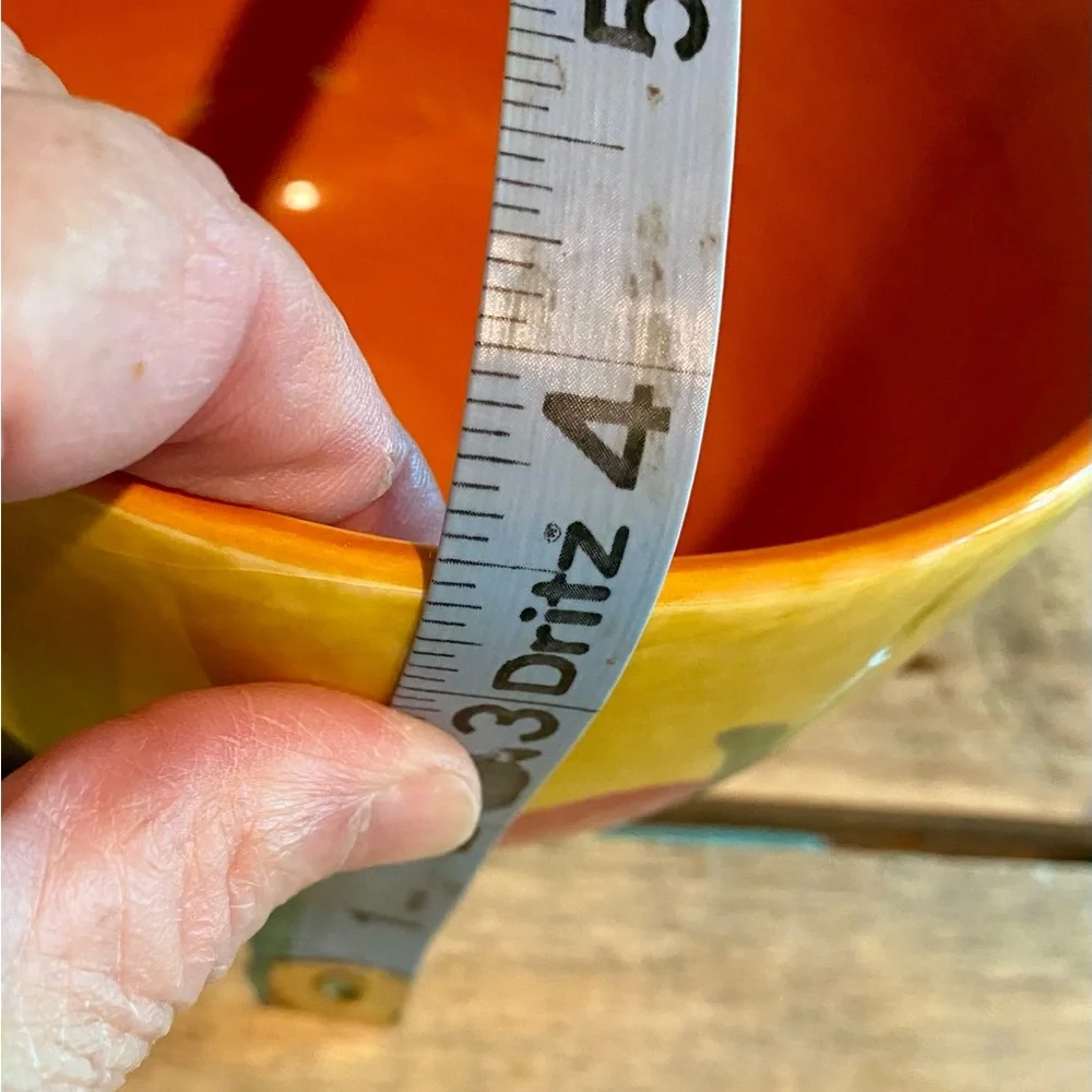 🔥Bella Casa by Ganz Dip Bowl w/Spreader🔥 NWT
